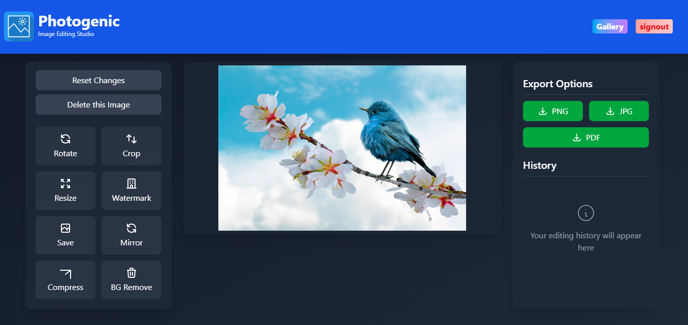 Screenshot placeholder for an image editing platform dashboard with options